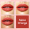 Color Me Matte Liquid Lipstick: Spice Orange