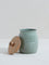 Westside Home Mint Sugar Canister