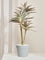 Westside Home Oyster Decorative Plant