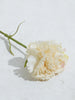 Westside Home Cream Carnation Artificial Flower