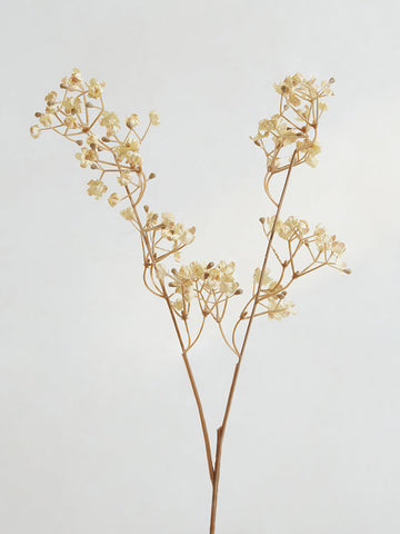 Westside Home Light Brown Gypsophila Stem Artificial Flower - Small