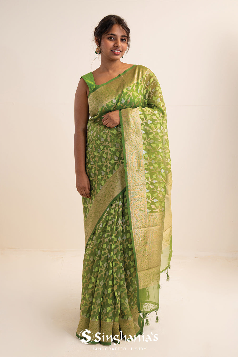 Jangla Organza Banarasi Saree In May Green