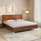 Electra Meta Bed (Walnut)