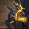 Wooden Golden Deer