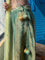 Dal sarovar (Lehenga Set)