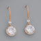 Trendy Earring 172062